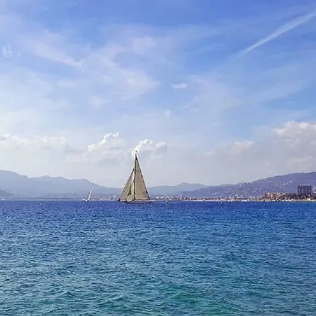 Vaneau Mediterranean *